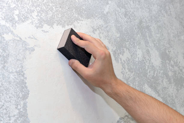 Professional Mold Removal in Hayward, WI