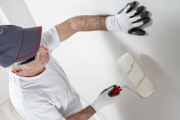 Best Air Quality Testing for Mold Spores  in Hayward, WI