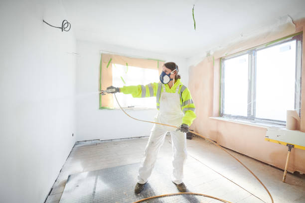 Best Crawl Space Mold Remediation  in Hayward, WI
