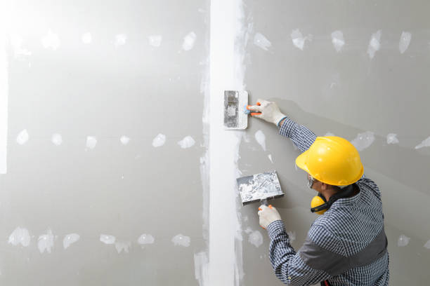 Best HVAC Mold Inspection and Cleaning  in Hayward, WI