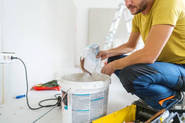 Best Basement Mold Removal  in Hayward, WI