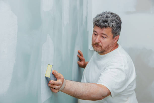 Best Attic Mold Removal  in Hayward, WI