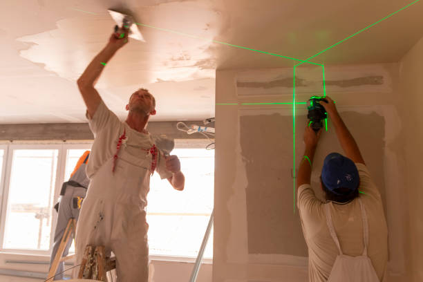 Best Emergency Mold Remediation  in Hayward, WI